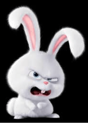 LES LAPINS C'EST MIGNON SAUF POSES EN RENDEZ-VOUS